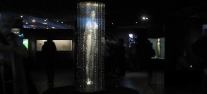 "Homo Luminoso" de Roseline de Thélin Expo Persona