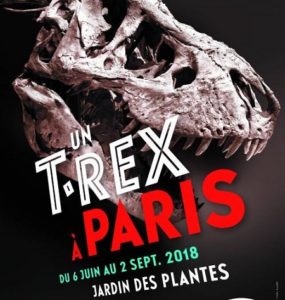 2018 05 T REX Museum jardin des Plantes TLM