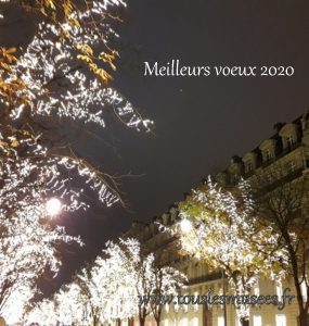 2019-12-25 181651-illuminations-Paris-meilleurs voeux TLM