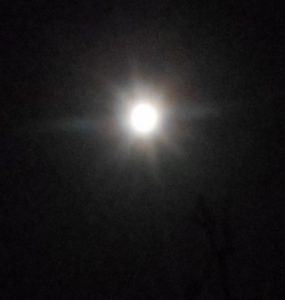 2020 04 Culture en ligne TLM lune