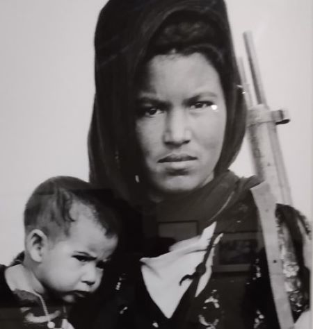 2022 05 03 FEMMES PHOTOGRAPHES DE GUERRE musée libération TLM