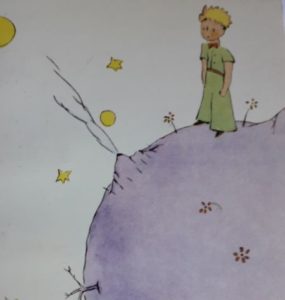 2022 06 02_Le petit prince 2 TLM MAD