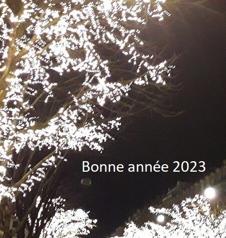 2023 bonne année voeux TLM