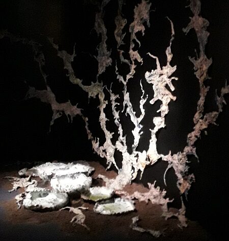 Voir la mer MAIF social club