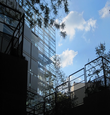 Fondation Cartier pour l'art contemporain